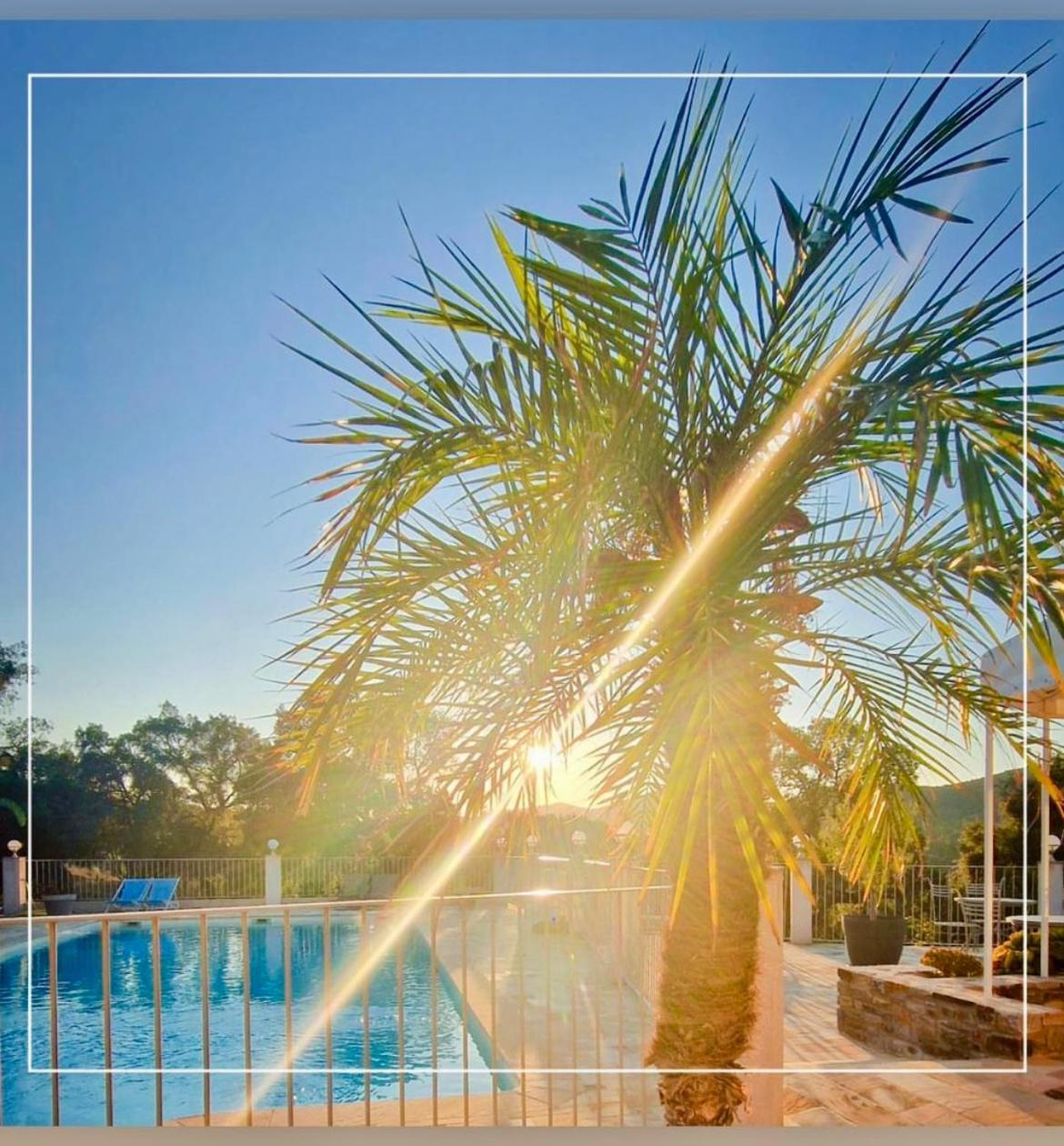 Villa Nais B&B Bormes-les-Mimosas Esterno foto