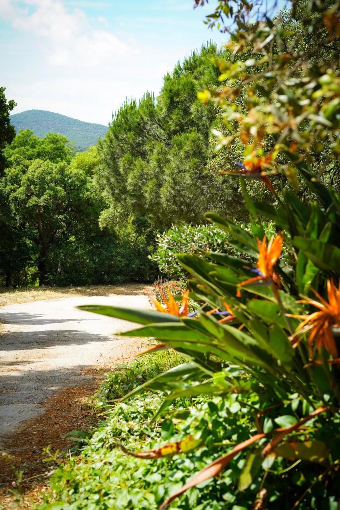 Villa Nais B&B Bormes-les-Mimosas Esterno foto